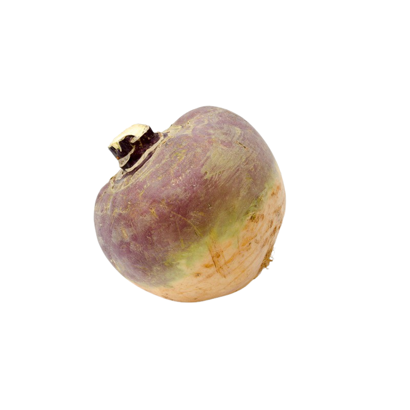Erdkohlrabi