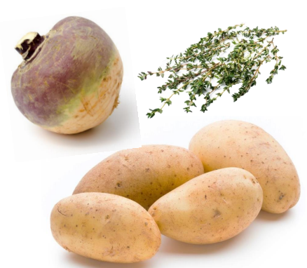 Erdkohlrabi – Kartoffel – Gratin