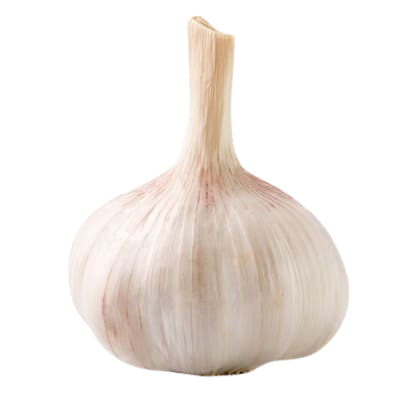 Knoblauch weiß