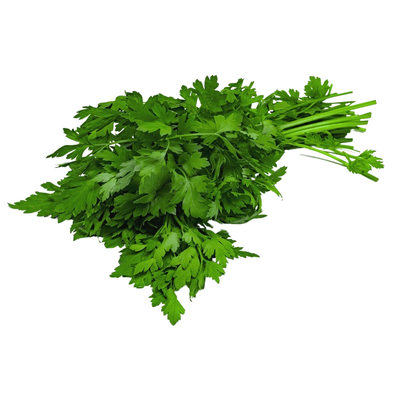 Petersilie glatt 40g