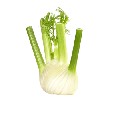 Fenchel