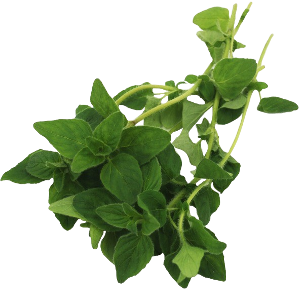 Oregano 40g